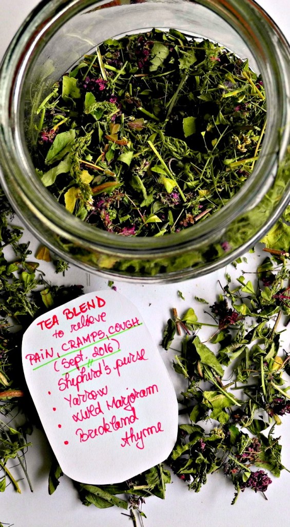 Herbal Solutions: Nature's Powerhouse against Cramps