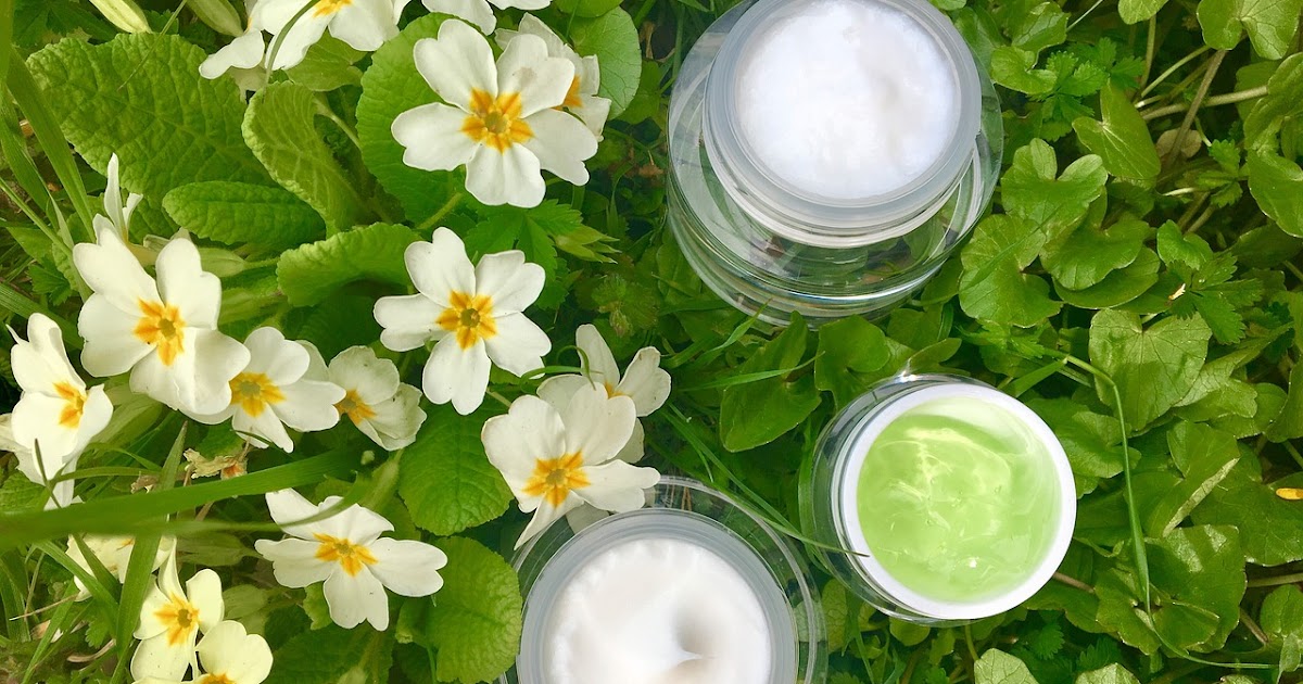 Aloe Vera: Nature's Soothing Gel