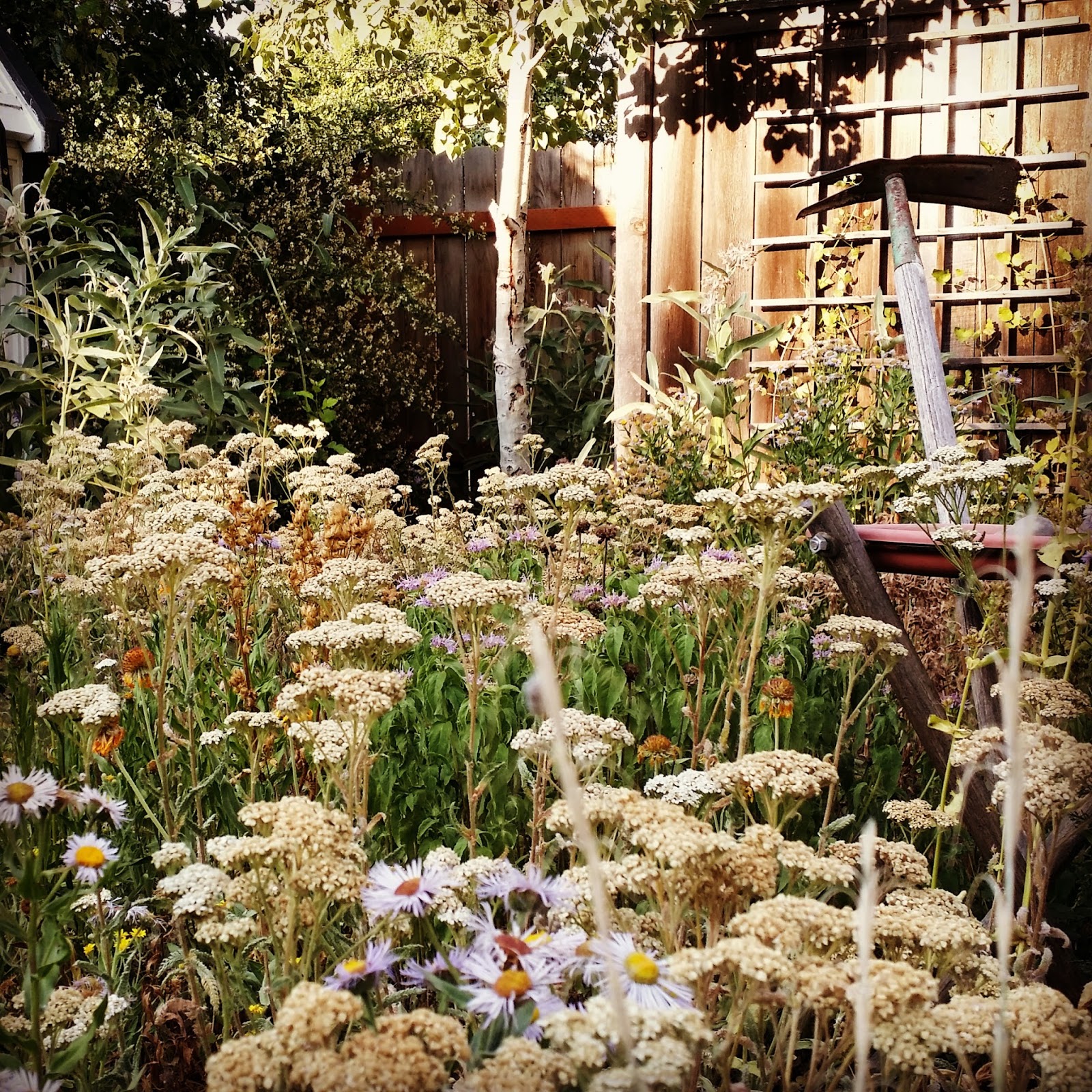 Choosing the Right Plants for Your Garden