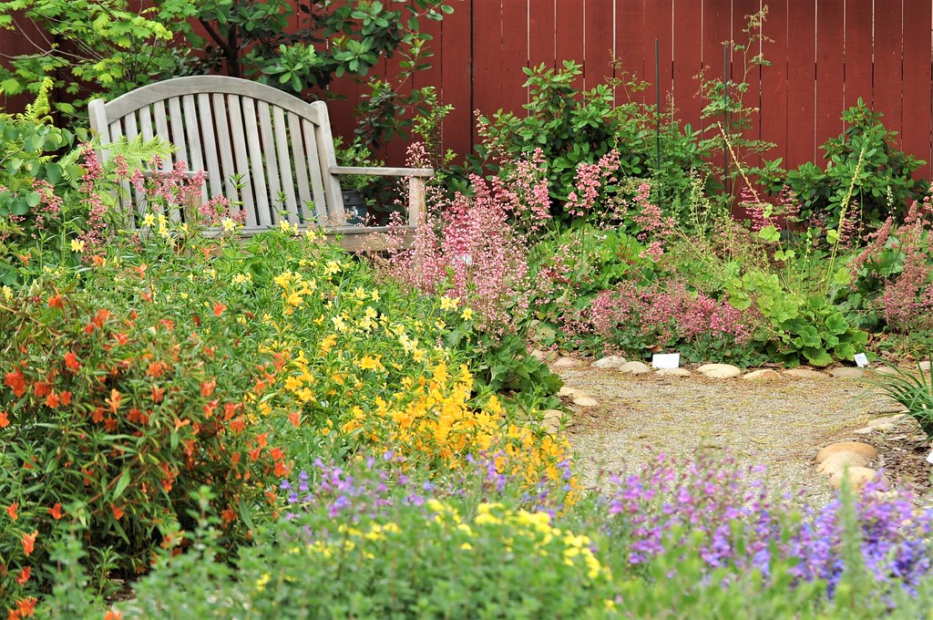 Using Native Plants for Sustainable Gardening