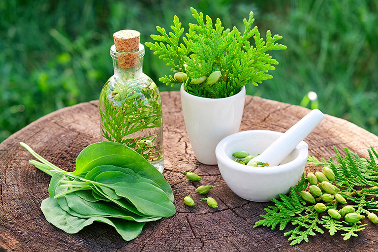 Health Benefits of Medicinal Plants