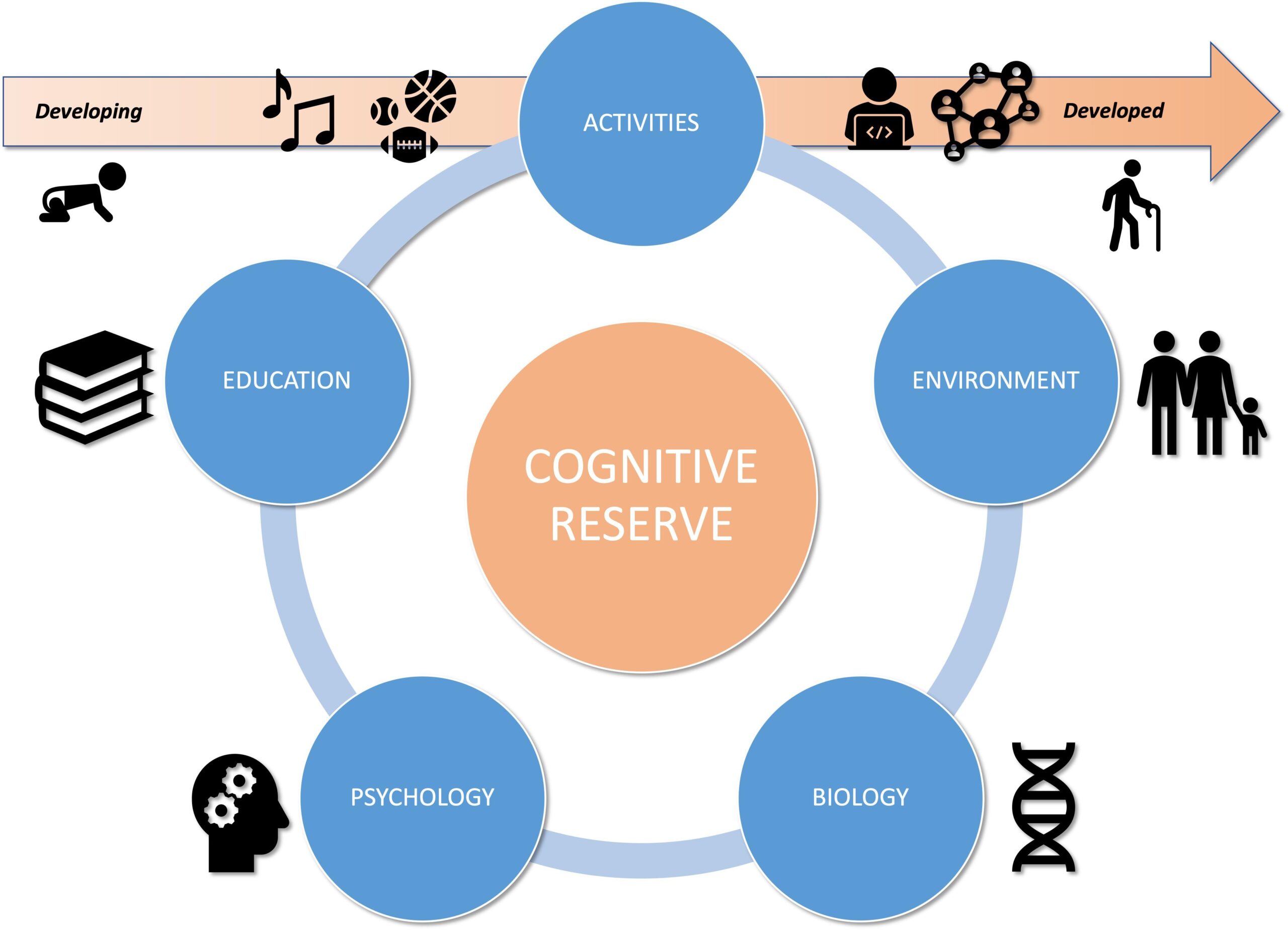 Socioeconomic Factors Influencing Child Development